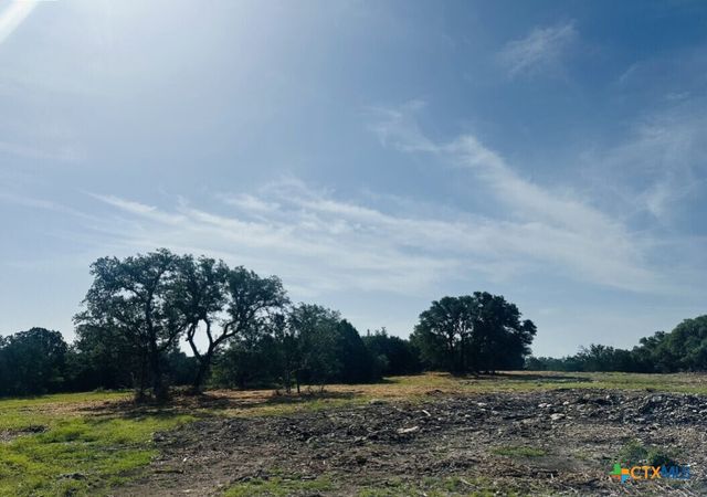 TBD Lot 24 Hank Williams Way, Burnet, TX 78605