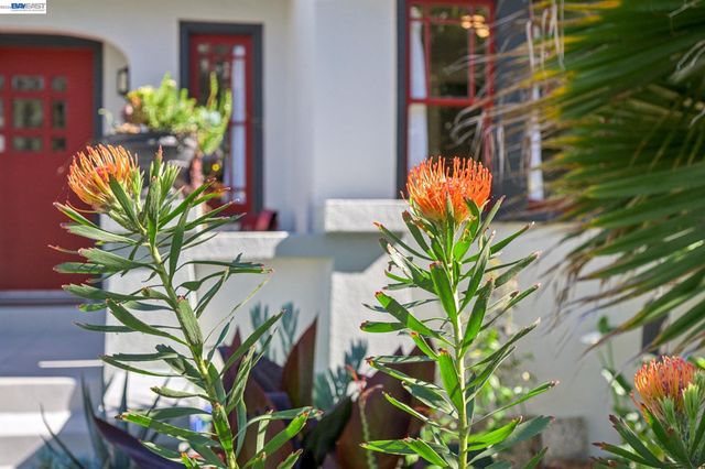 1376 Versailles Ave, Alameda, CA 94501