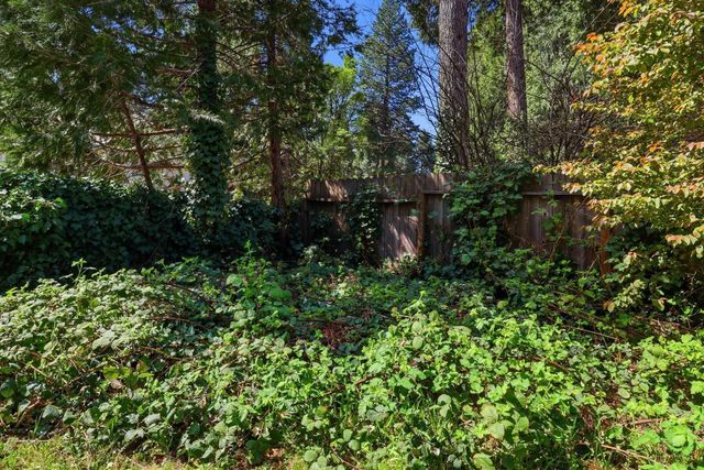 6298 Fairview Dr, Pollock Pines, CA 95726