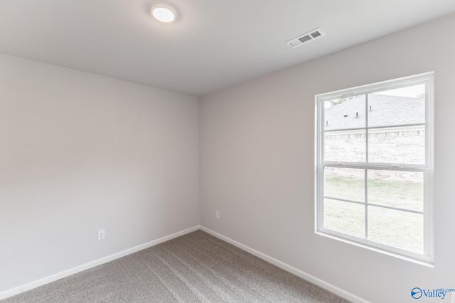 107 - Lot 33 Gulf Hills Avenue, Toney, AL 35773