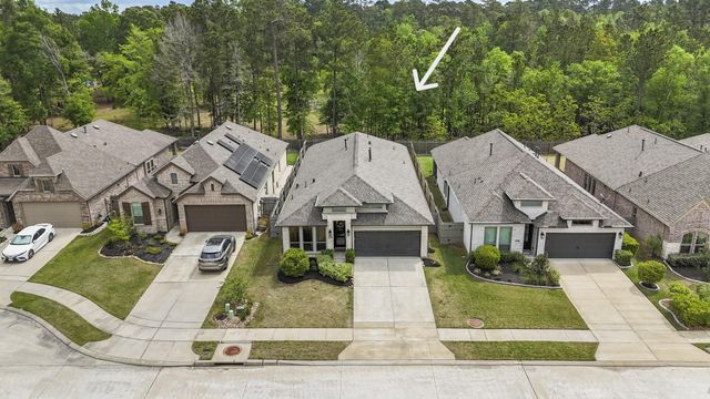 17311 Merigold Heights Drive, Conroe, TX 77302