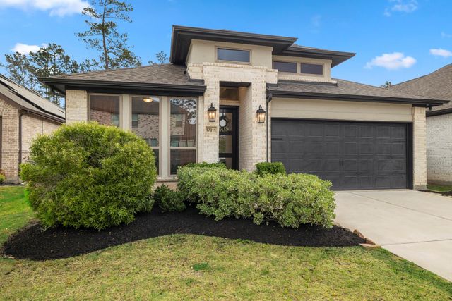 17311 Merigold Heights Drive, Conroe, TX 77302