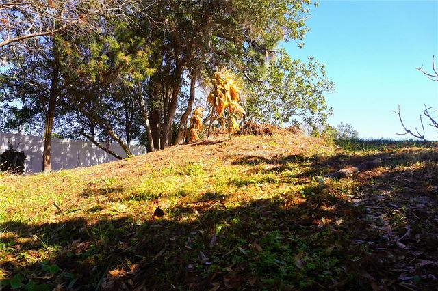 3605 LATE MORNING, Kissimmee, FL 34744