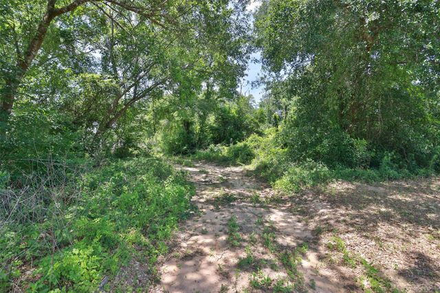 120 Quiet Springs Trail, Willis, TX 77378