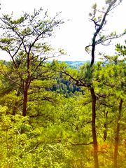 0 S Fork Road, Stanton, KY 40380
