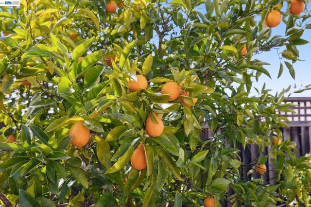 73 Stonebrae Rd, Hayward, CA 94542