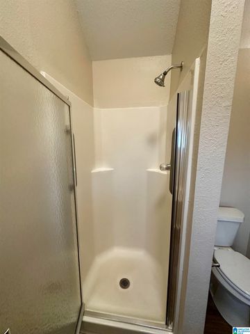 122 HORSESHOE CIRCLE, Alabaster, AL 35007