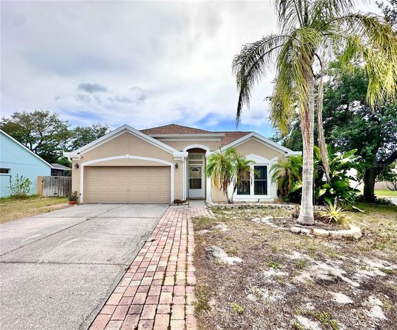 1650 NAVIGATOR LANE, Tarpon Springs, FL 34689