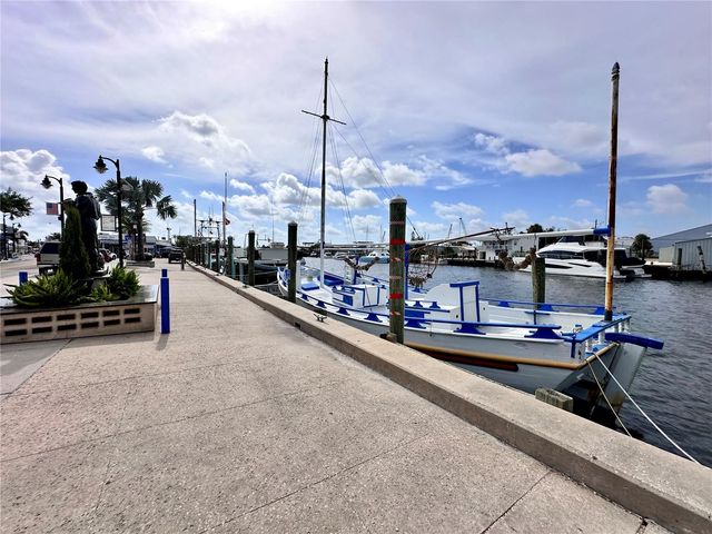 1650 NAVIGATOR LANE, Tarpon Springs, FL 34689