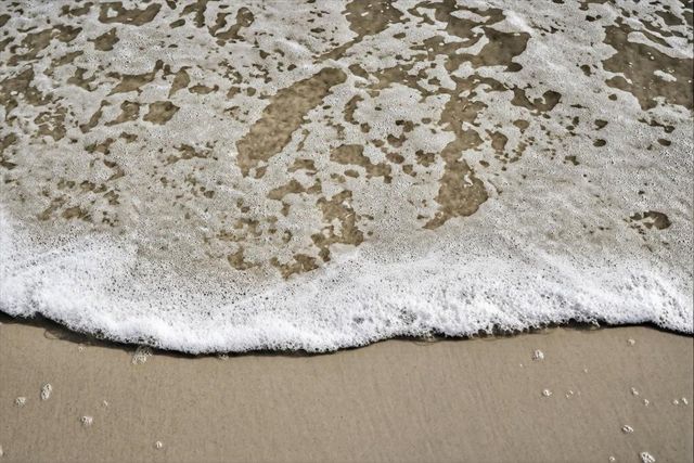 6 MANATEE COURT, St Augustine, FL 32080