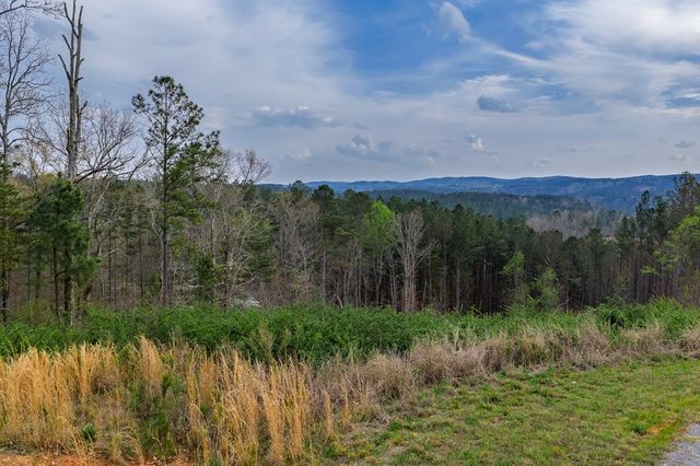 Lot 43 Bucktail Way, Talking Rock, GA 30175