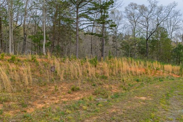 Lot 43 Bucktail Way, Talking Rock, GA 30175