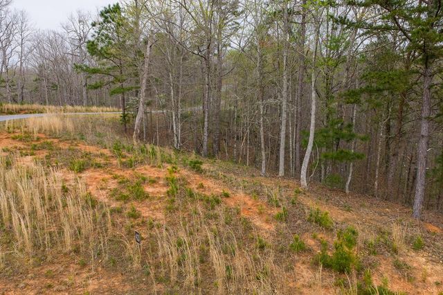 Lot 43 Bucktail Way, Talking Rock, GA 30175
