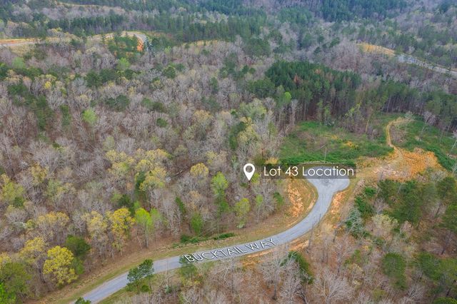 Lot 43 Bucktail Way, Talking Rock, GA 30175