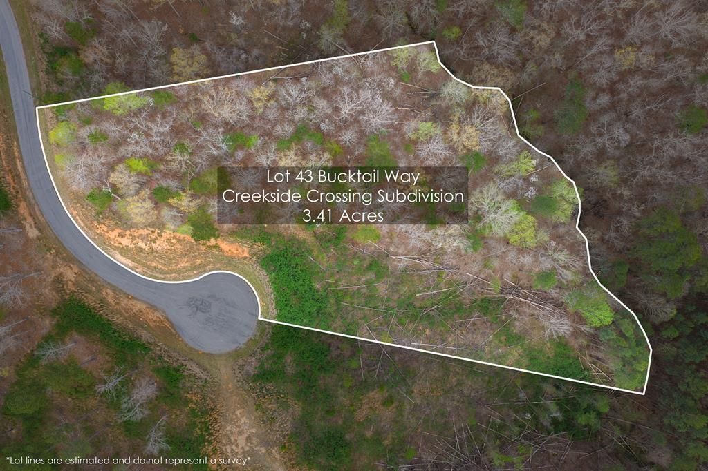 Lot 43 Bucktail Way, Talking Rock, GA 30175
