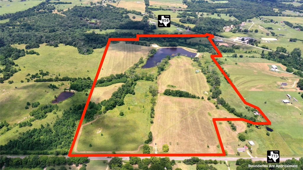 13530 FM 773, Ben Wheeler, TX 75754