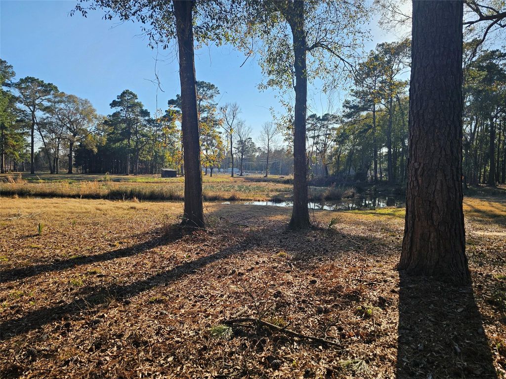 1325 Fm 223 Road, Shepherd, TX 77371