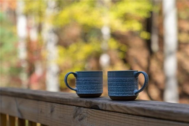 41 Peek And Peak Drive, Sky Valley, GA 30537