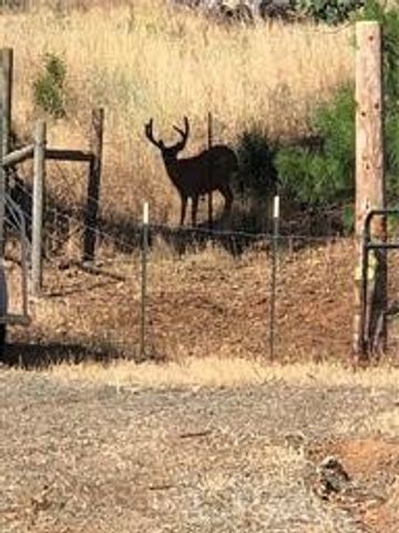 15000 Myers Way, Cobb, CA 95426