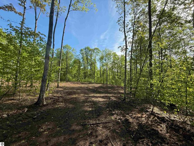 1371 E Solaris Way, Maple City, MI 49664