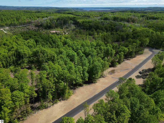 1371 E Solaris Way, Maple City, MI 49664