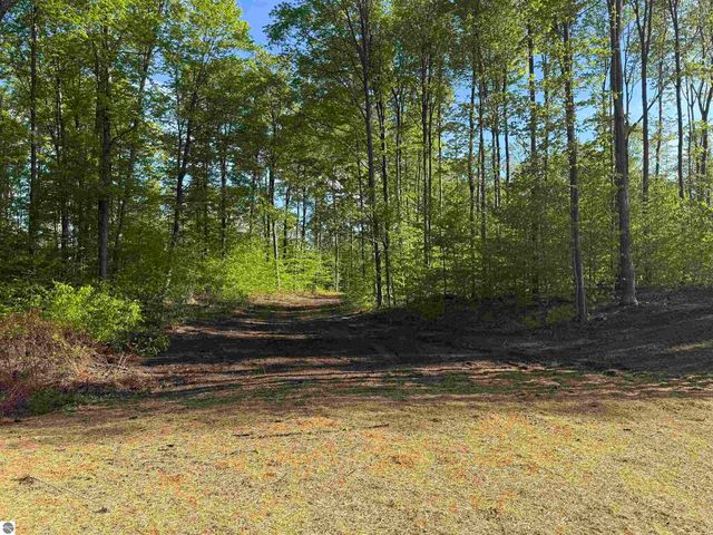 1371 E Solaris Way, Maple City, MI 49664