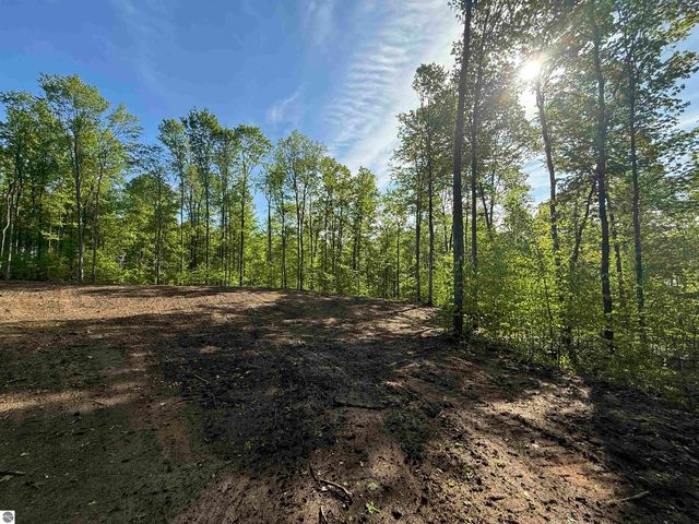 1371 E Solaris Way, Maple City, MI 49664