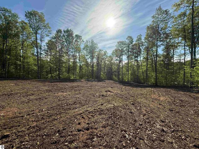 1371 E Solaris Way, Maple City, MI 49664