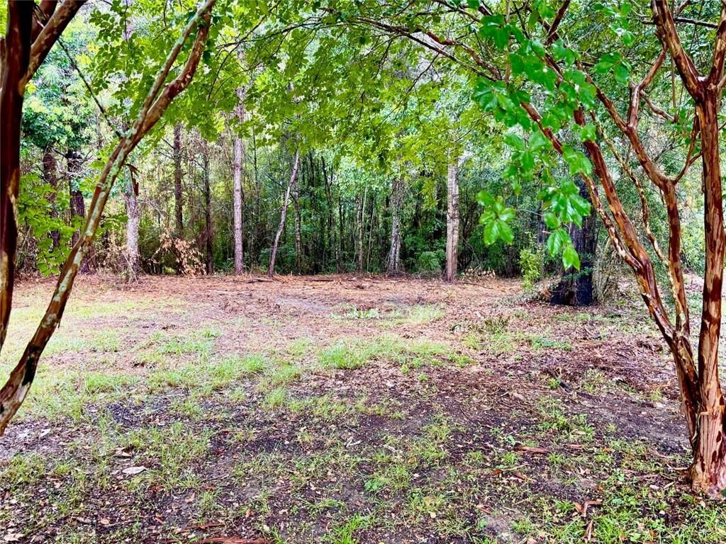 6617 Sweetbay Court, Mobile, AL 36618 — photo 4