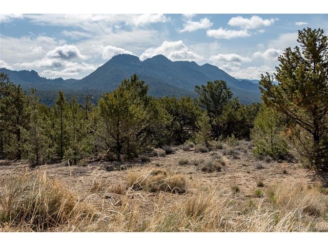 30563 Stampede Run, Buena Vista, CO 81211