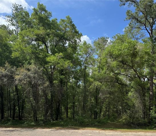 455 E AVONDALE DRIVE, Dunnellon, FL 34434