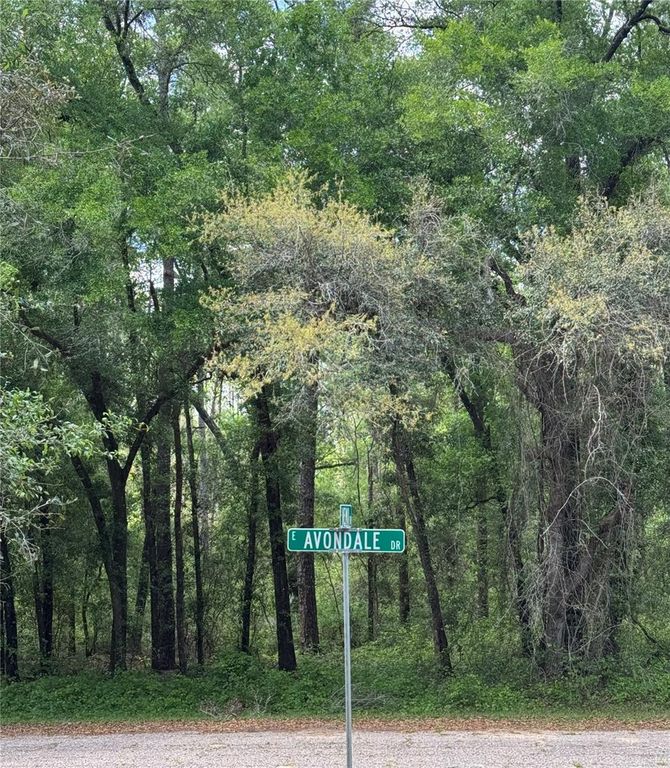 455 E AVONDALE DRIVE, Dunnellon, FL 34434