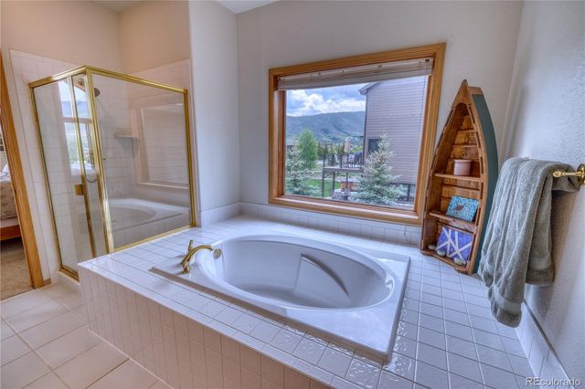 70 Lone Wolf Court, Dillon, CO 80435