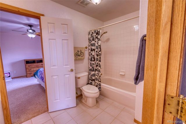 70 Lone Wolf Court, Dillon, CO 80435