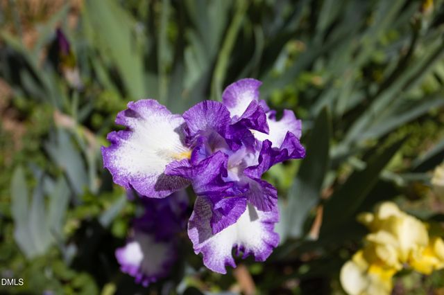 3409 Pickett Road, Durham, NC 27705