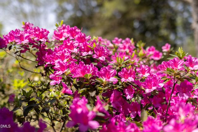 3409 Pickett Road, Durham, NC 27705