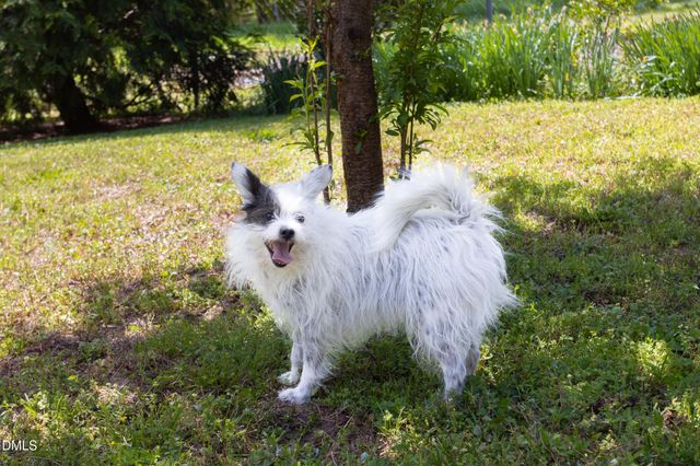 3409 Pickett Road, Durham, NC 27705