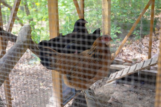 3409 Pickett Road, Durham, NC 27705