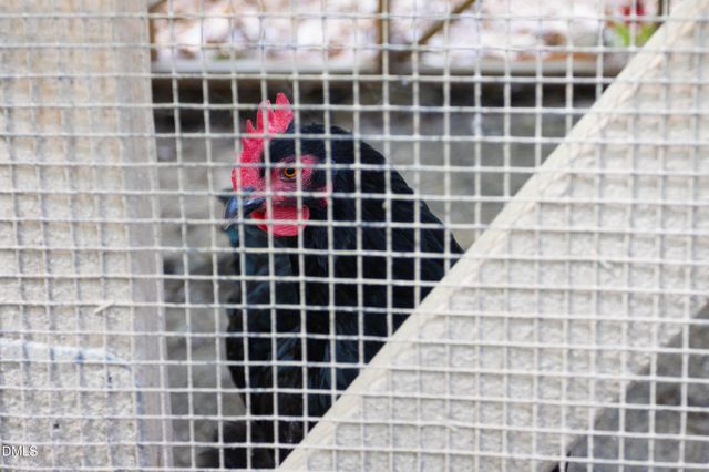 3409 Pickett Road, Durham, NC 27705