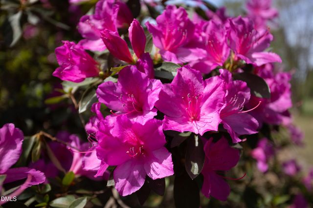 3409 Pickett Road, Durham, NC 27705