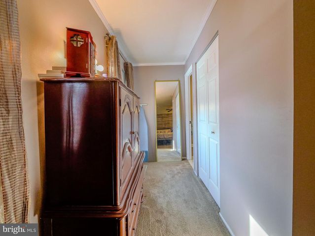 105 PATTIE DR, Newark, DE 19702