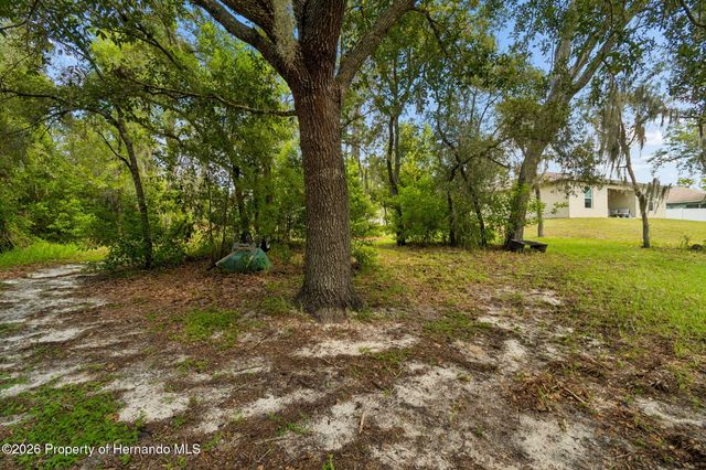4235 Castle Avenue, Spring Hill, FL 34609