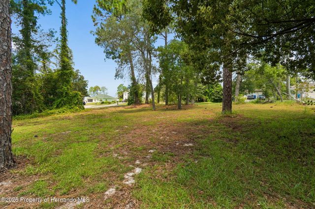 4235 Castle Avenue, Spring Hill, FL 34609
