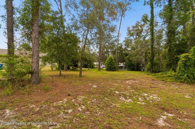 4235 Castle Avenue, Spring Hill, FL 34609