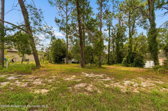 4235 Castle Avenue, Spring Hill, FL 34609