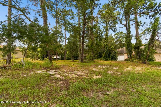 4235 Castle Avenue, Spring Hill, FL 34609