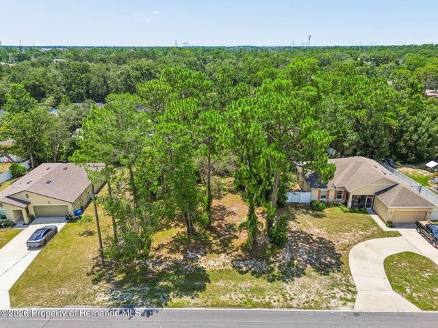 4235 Castle Avenue, Spring Hill, FL 34609