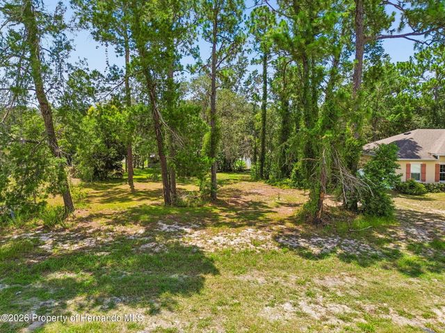 4235 Castle Avenue, Spring Hill, FL 34609