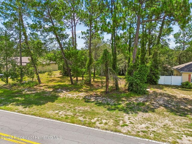 4235 Castle Avenue, Spring Hill, FL 34609
