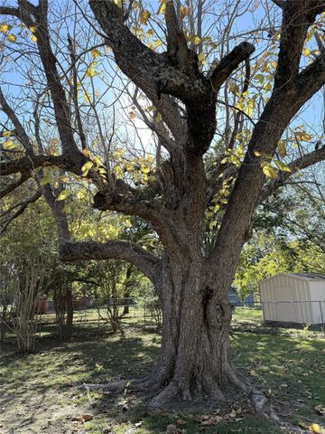 225 College Street, Roxton, TX 75477